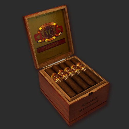 Magma Robusto